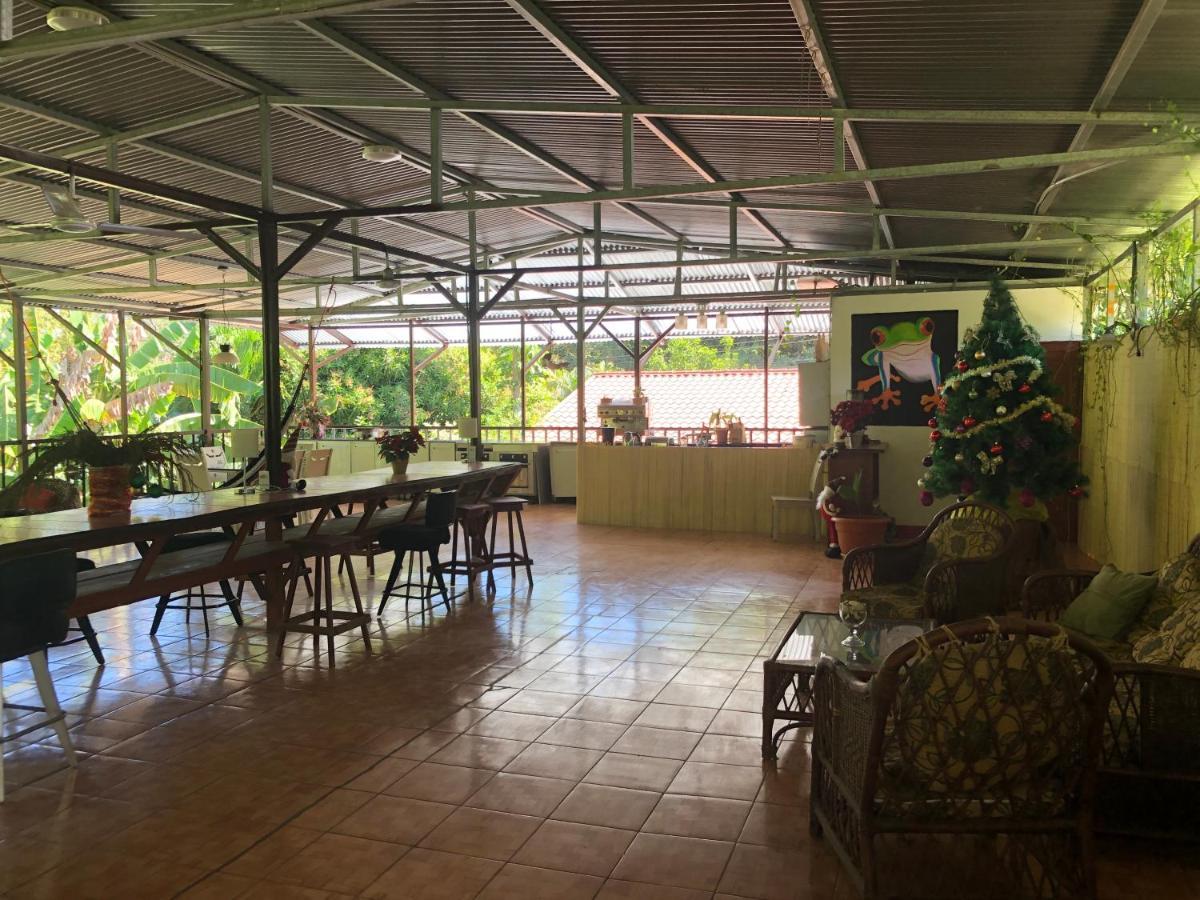 Toucan House Коко Екстер'єр фото